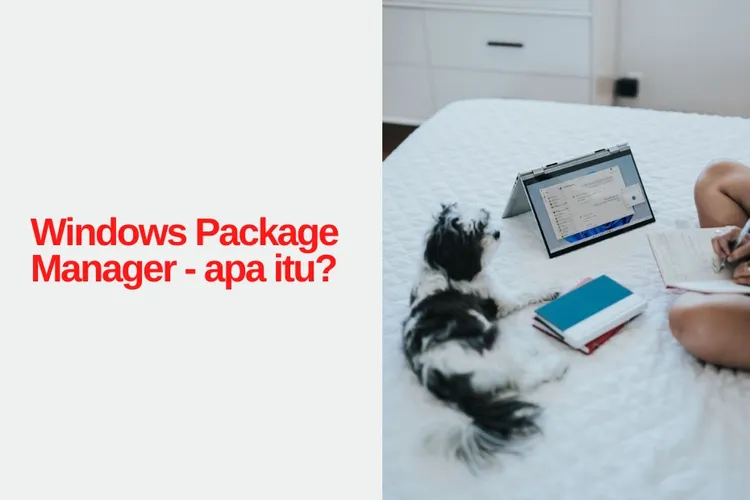 Windows Package Manager, menyuruh Windows melakukan install atau delete aplikasi